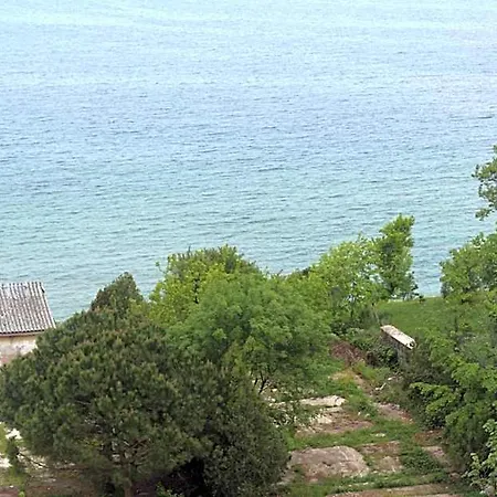 Longoz İğneada